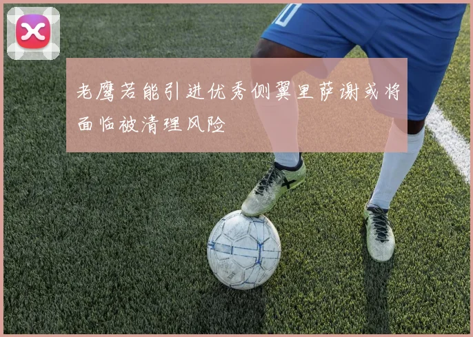 老鹰若能引进优秀侧翼里萨谢或将面临被清理风险