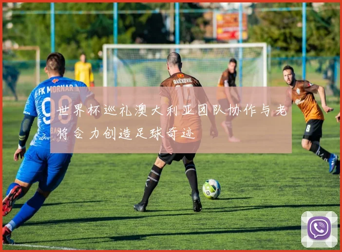 世界杯巡礼澳大利亚团队协作与老将合力创造足球奇迹